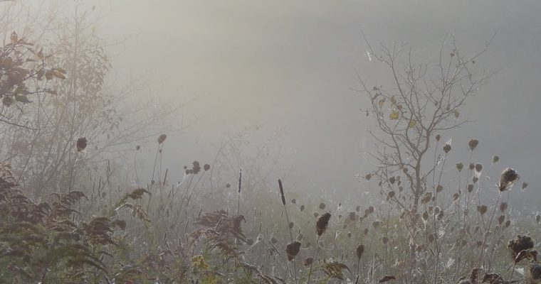“ Beneath the surface” new online course  8th September-6th October