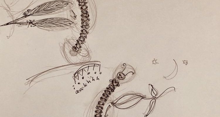 Top surgery case study.  Fred