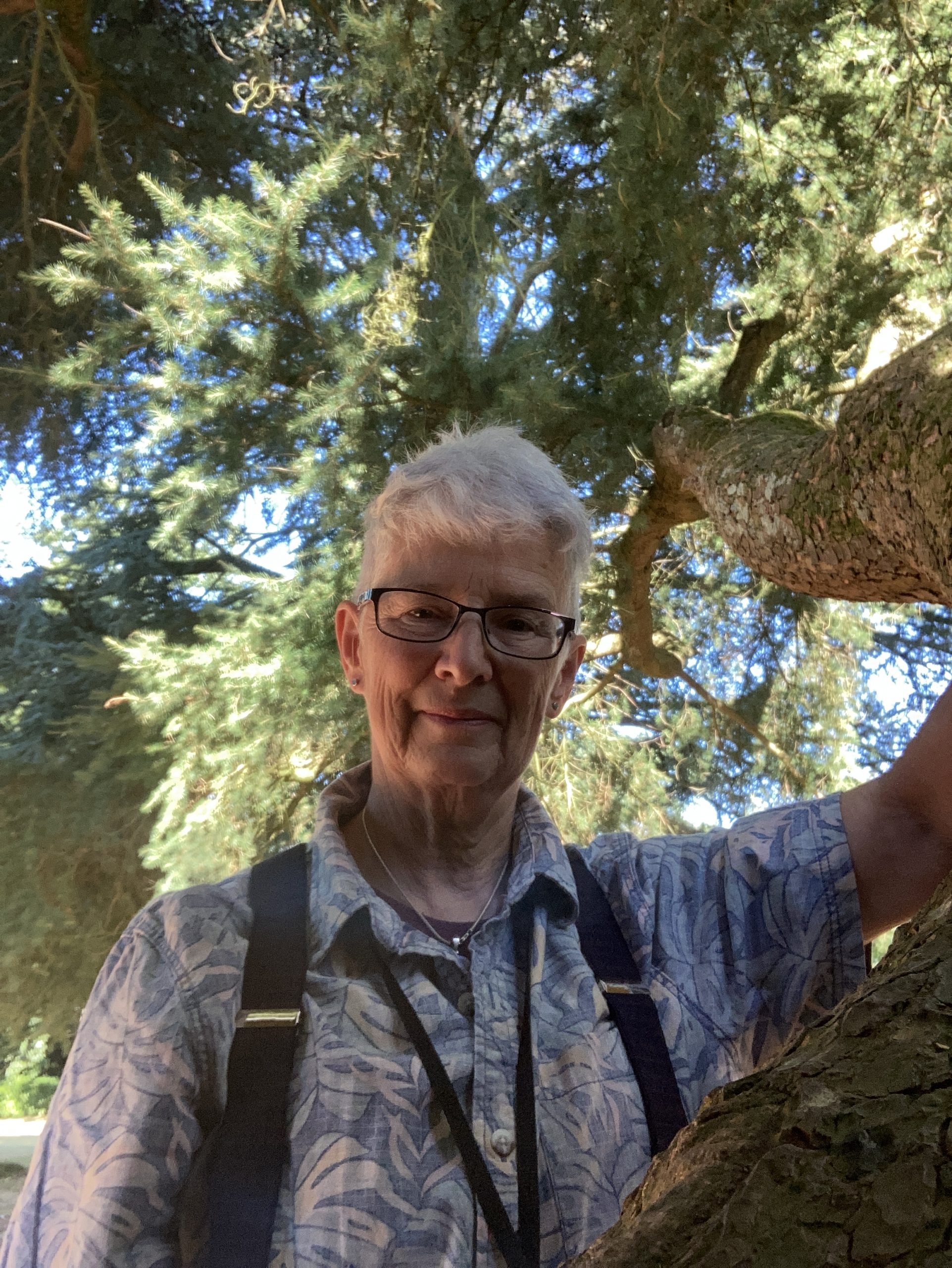 Dartington Summer School 2022 Alexander Technique Wellbeing Summaries